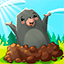 Whack A Mole